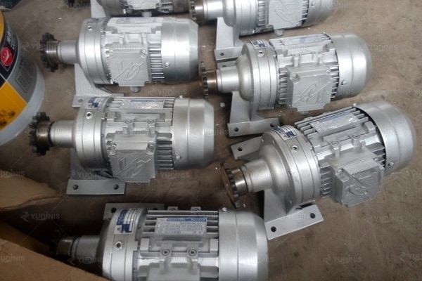 electric motor for driving the amusement carousel to rotate