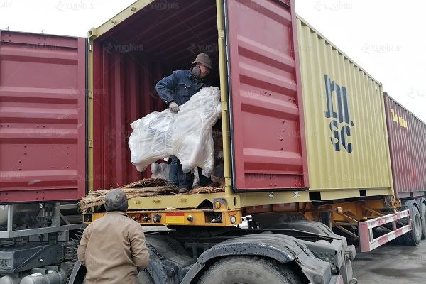 transportation vehicle of Dinis carousel factory